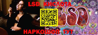 гидра Заводоуковск