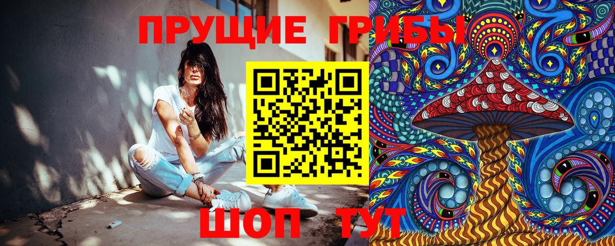 Екатеринбург  Галлюциногенные грибы GOLDEN TEACHER  Вход с VPN 