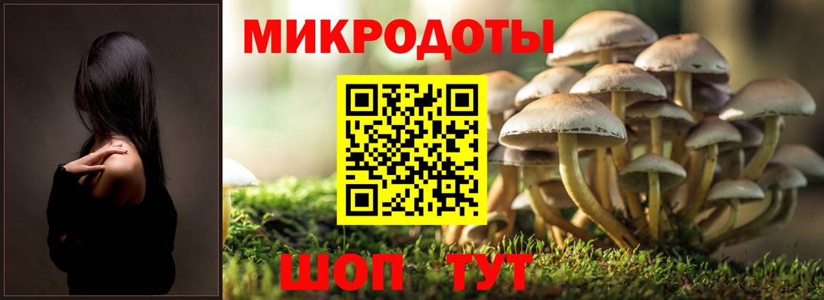Галлюциногенные грибы мицелий Екатеринбург