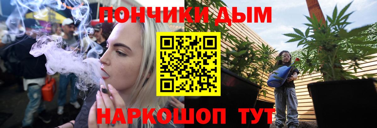 Шишки марихуана конопля  Бошки Шишки марихуана  Канабис планчик  Вход с VPN  Екатеринбург  Каннабис гибрид 